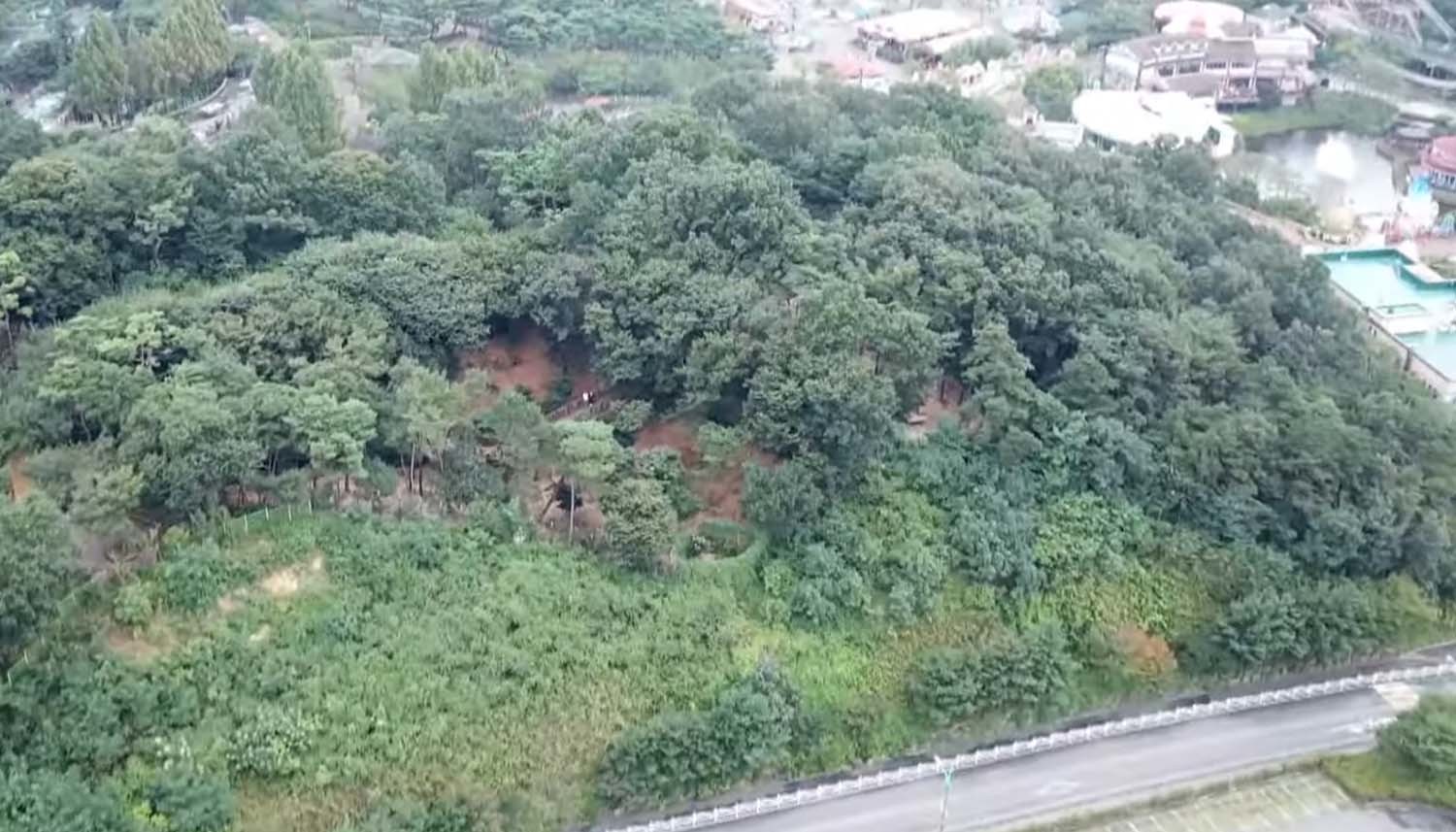 오월드 토종늑대 사파리 / SBS 'TV동물농장'