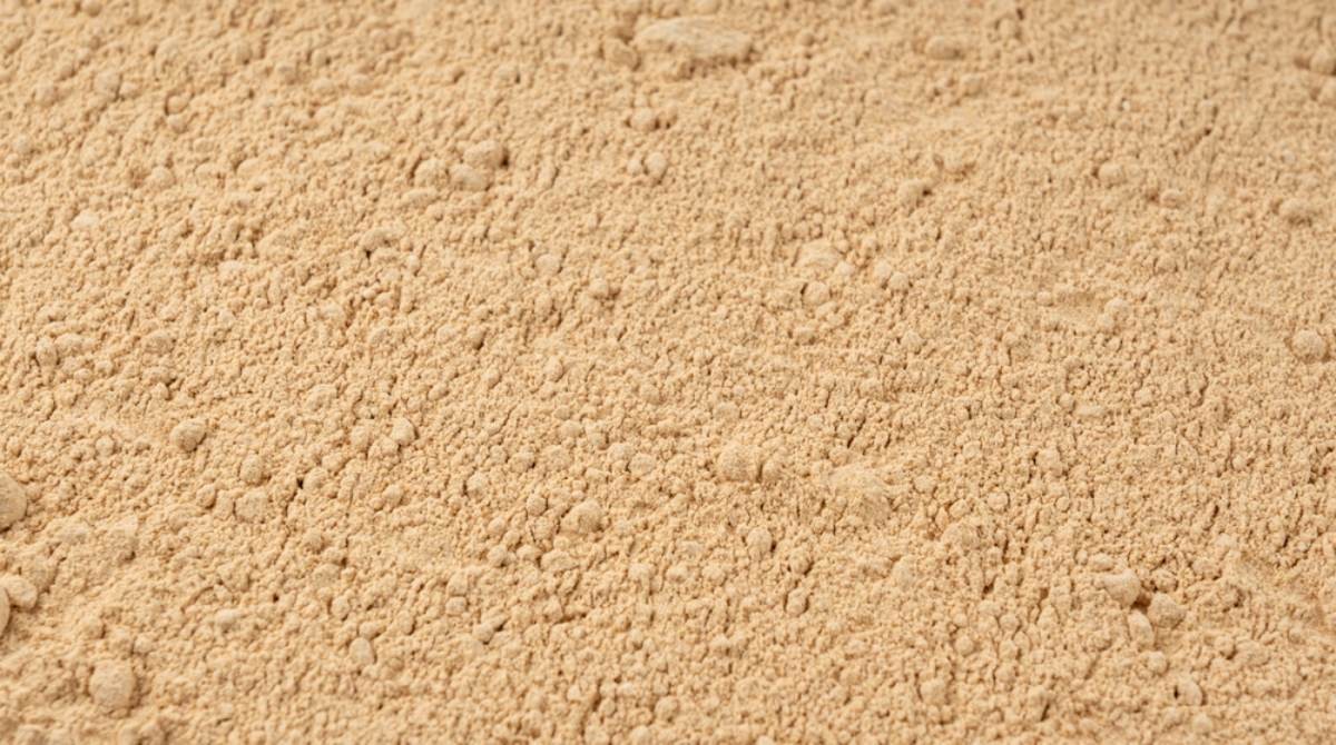 생강 가루  / Ermak Oksana-shutterstock.com