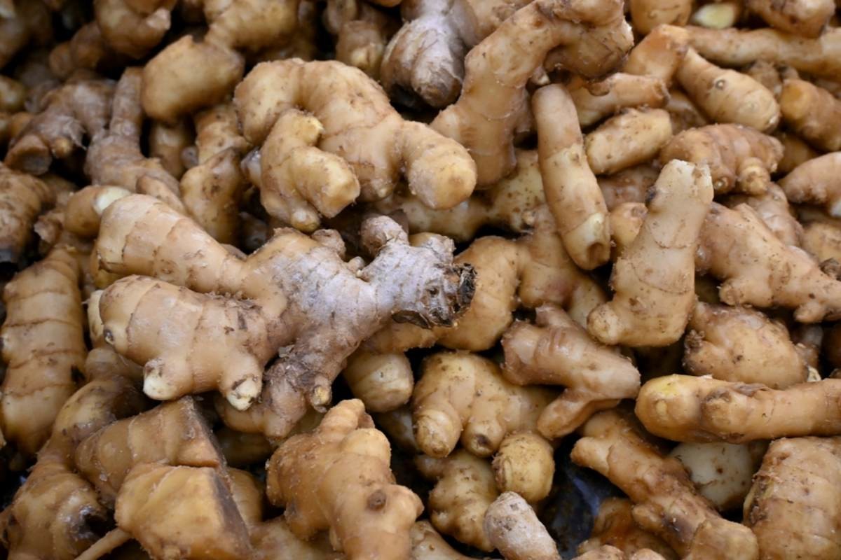 생강 자료사진 / IZZ HAZEL-shutterstock.com