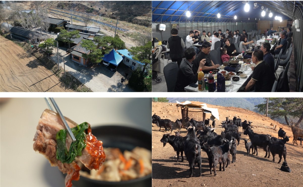 EBS1 '극한직업' 미리보기 페이지에서 제공하는 '벚꽃 필 적에, 주꾸미잡이와 밥 주는 민박집'편 자료 사진 / EBS 제공