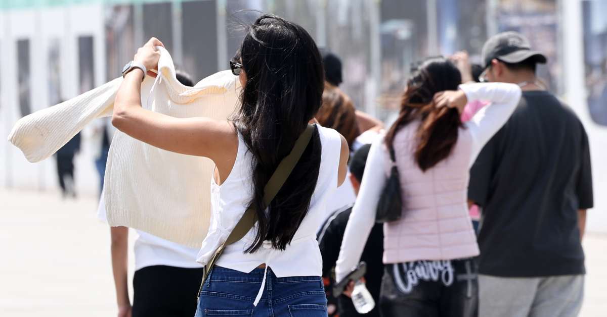 4월 중순인데 벌써… 때이른 더위에 앞다퉈 문 연 뜻밖의 '장소'