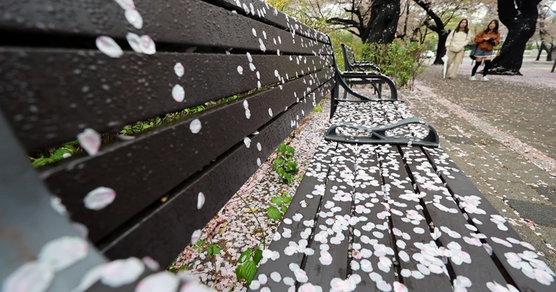 푹푹 찌는 날씨, 기록 경신한 주말...월요일은 '더위' 한풀 꺾인다 