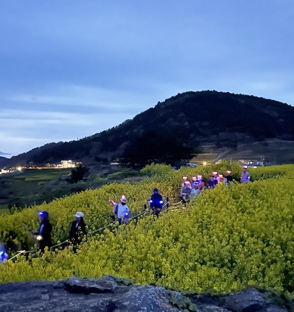 청산도 슬로걷기 축제의 달빛 나이크 워크 프로그램에 참여한 관광객들 / 완도군