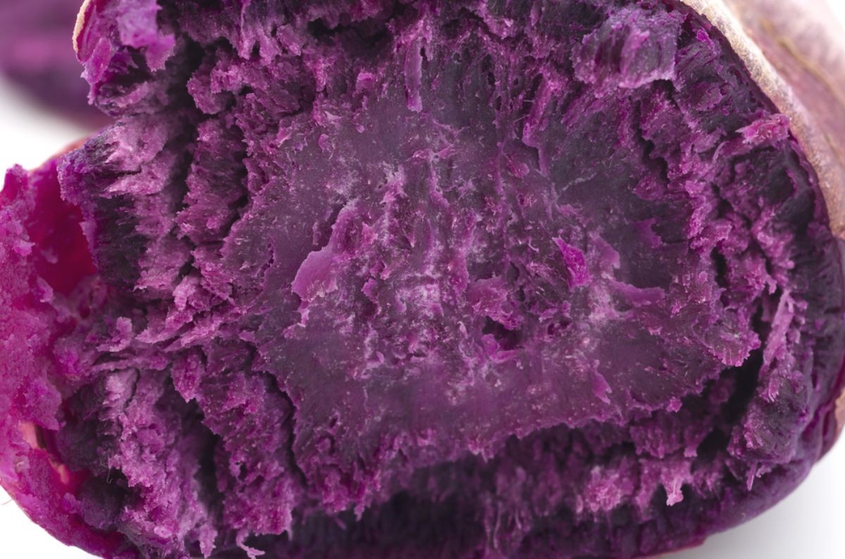 우베 자료사진 / kariphoto-shutterstock.com