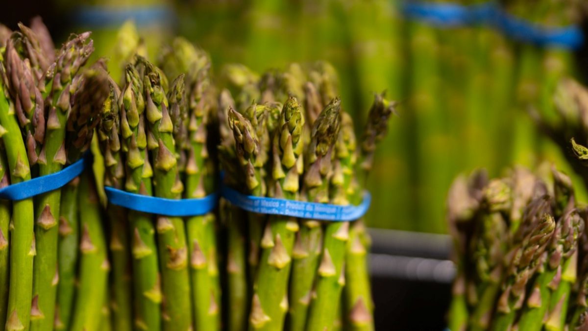 맛은 높고 가격은 낮고… 고물가 시대 지금 꼭 먹어야 하는 ‘제철 음식’