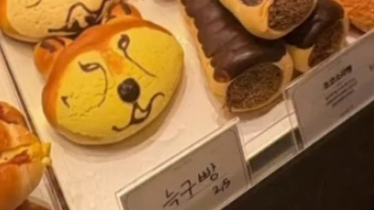 “성심당 비켜!”… 대전의 새 아이콘으로 등극한 탈출 늑대 ‘늑구’