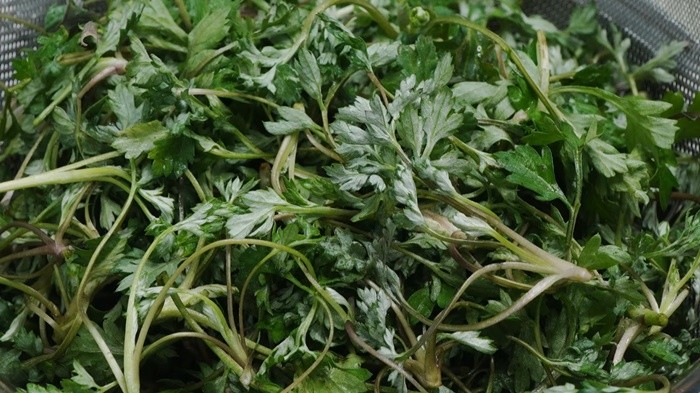 유튜브 '팔숙이 palsook'