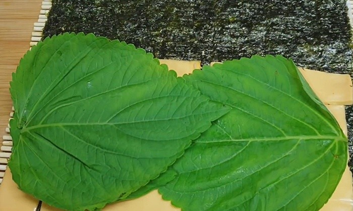 유튜브 '소소황 Cook & Eat'