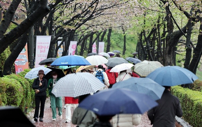 기사의 이해를 돕기 위한 사진 / 뉴스1