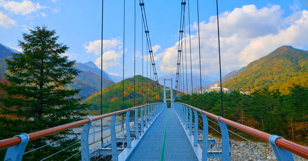 8m 높이 공중을 걷는다?... 불과 2년 만에 누적 방문객 50만 명 돌파한 '이곳'