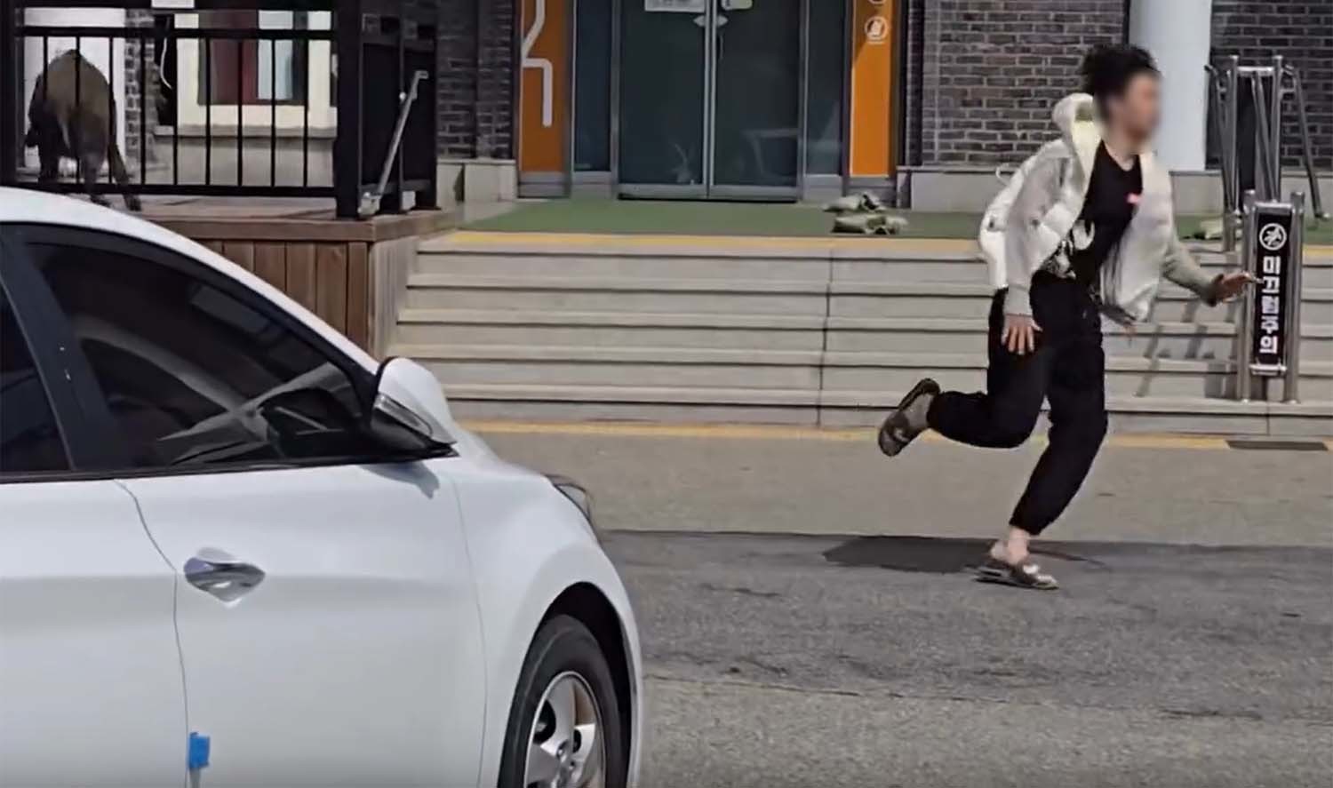 지난 18일 가평휴게소에 멧돼지가 출몰했다. 한 남성이 깜짝 놀라 멧돼지를 피해 달아나고 있다. / '만두찡' 유튜브 영상 캡처