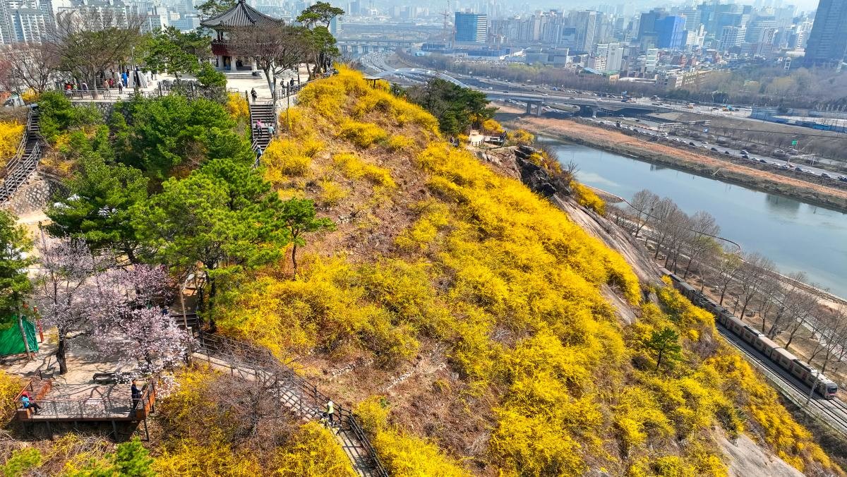 응봉산. / 연합뉴스