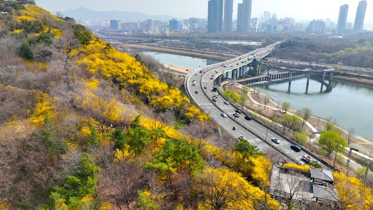 응봉산. / 연합뉴스