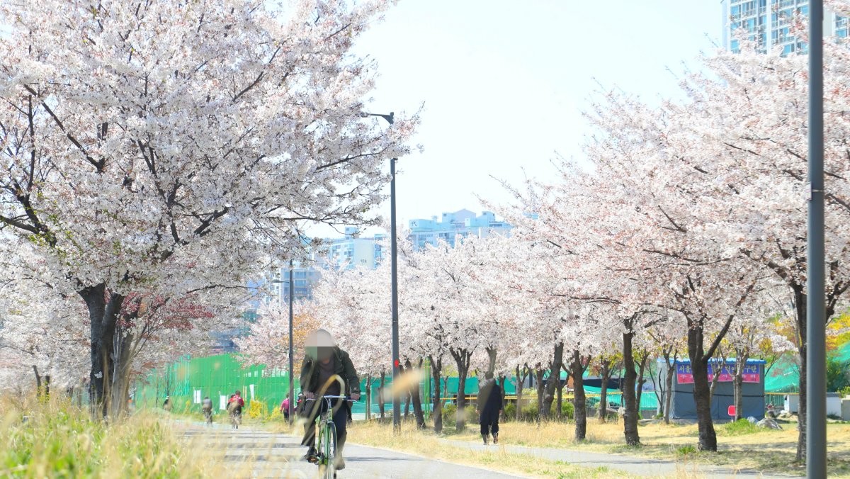 중랑천. / 연합뉴스