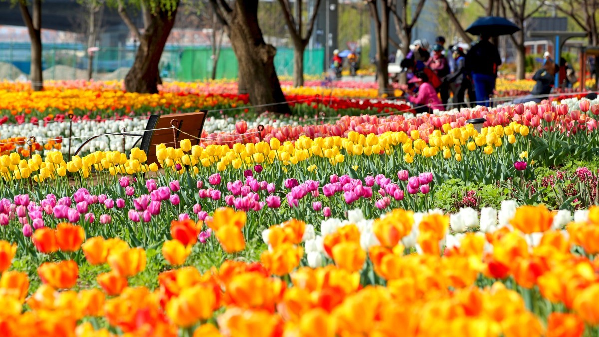 중랑천 용비휴식정원. / 뉴스1