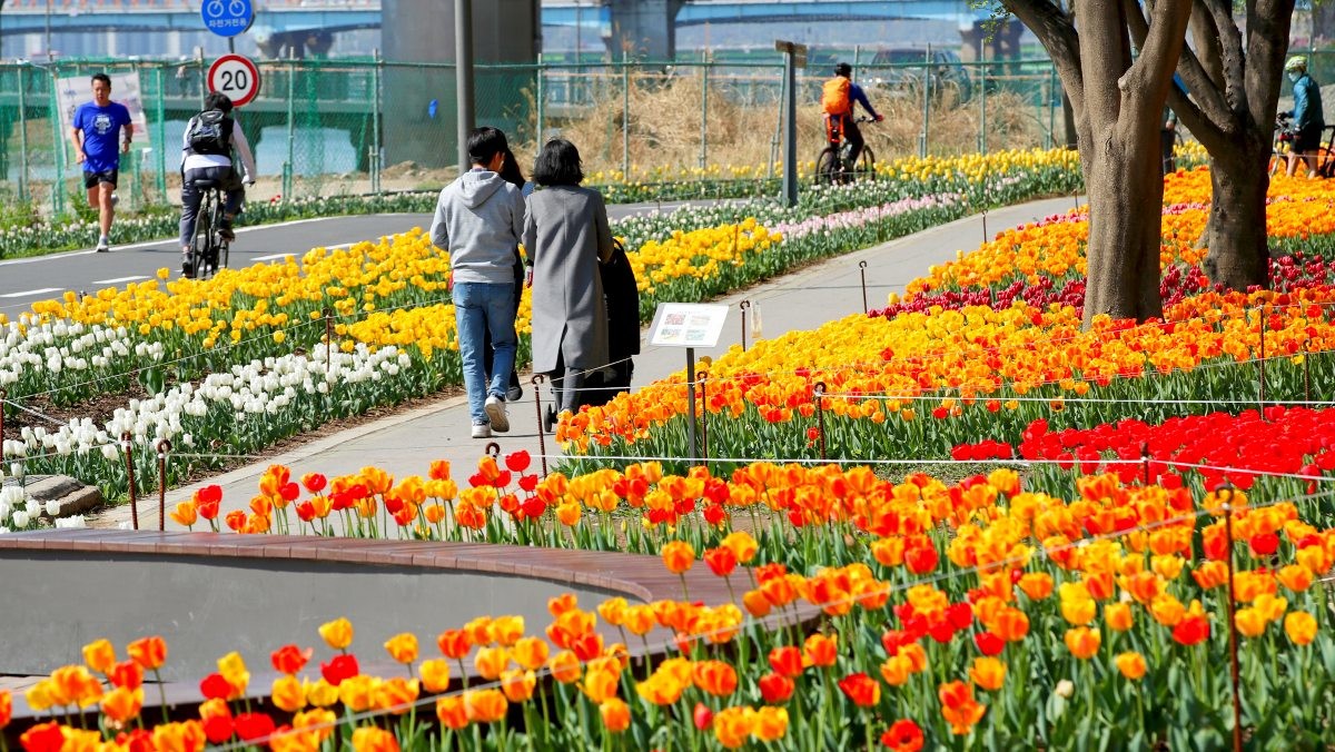 중랑천 용비휴식정원. / 뉴스1