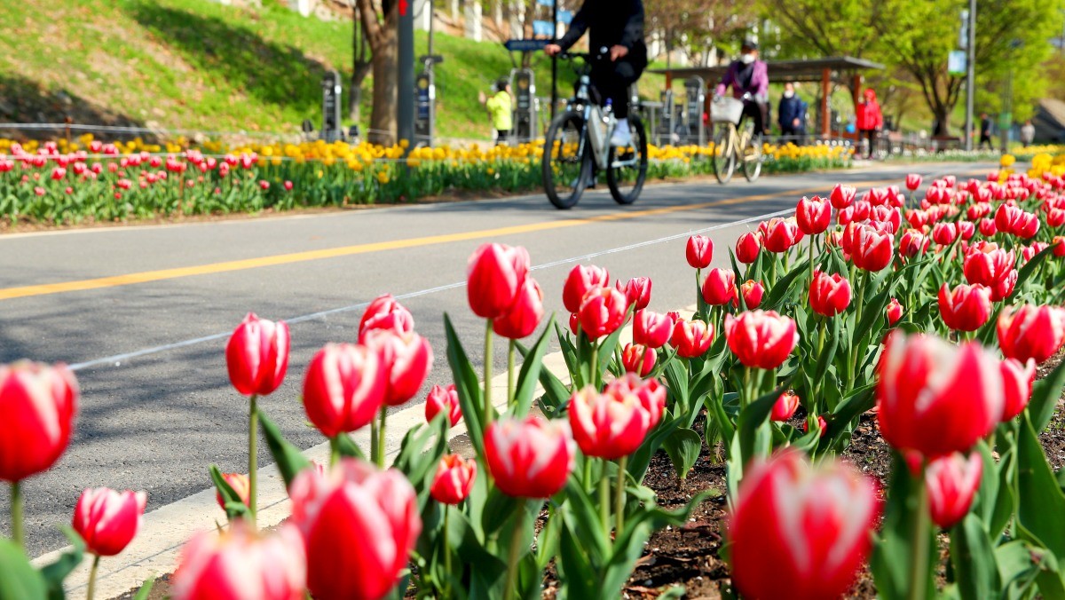 용비휴식정원. / 뉴스1