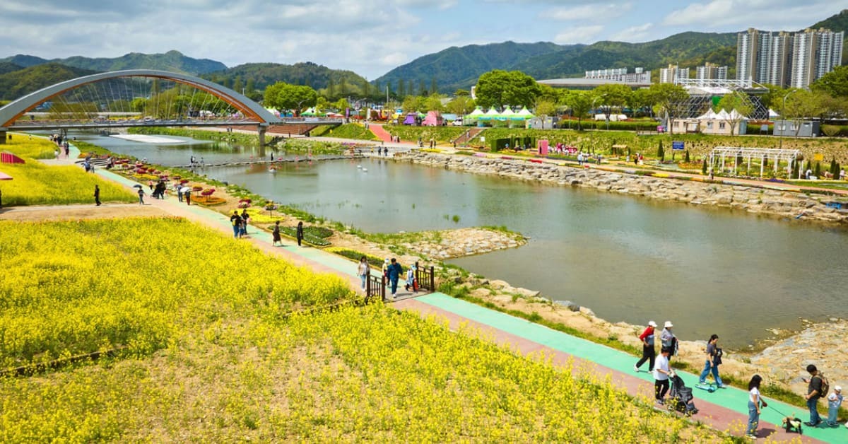 제주도 안 가도 된다…역대급 규모, 전남 봄나들이 1순위 등극한 '화순' 