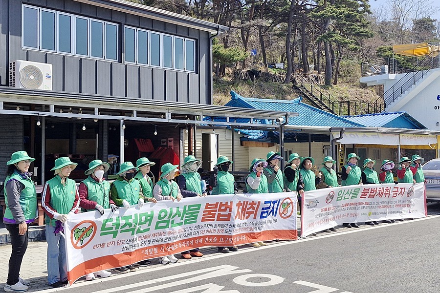 옹진군 덕적면 새마을부녀회, 산림 자원 보호 앞장