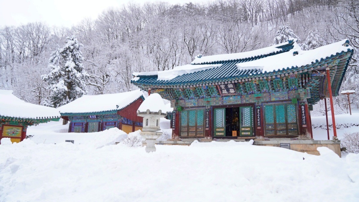 신흥사. / 뉴스1