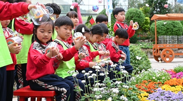 “함평 하늘 수놓은 오색 나비의 향연!” 제28회 함평나비대축제 포토데이 성료