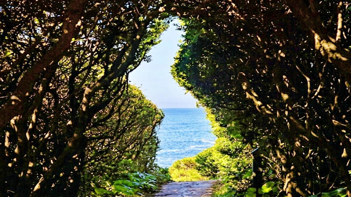 남원 큰엉해안 한반도 포토존. 기사 이해를 돕기 위해 AI로 제작한 자료 이미지로, 실제 모습과 다소 차이가 있을 수 있습니다.