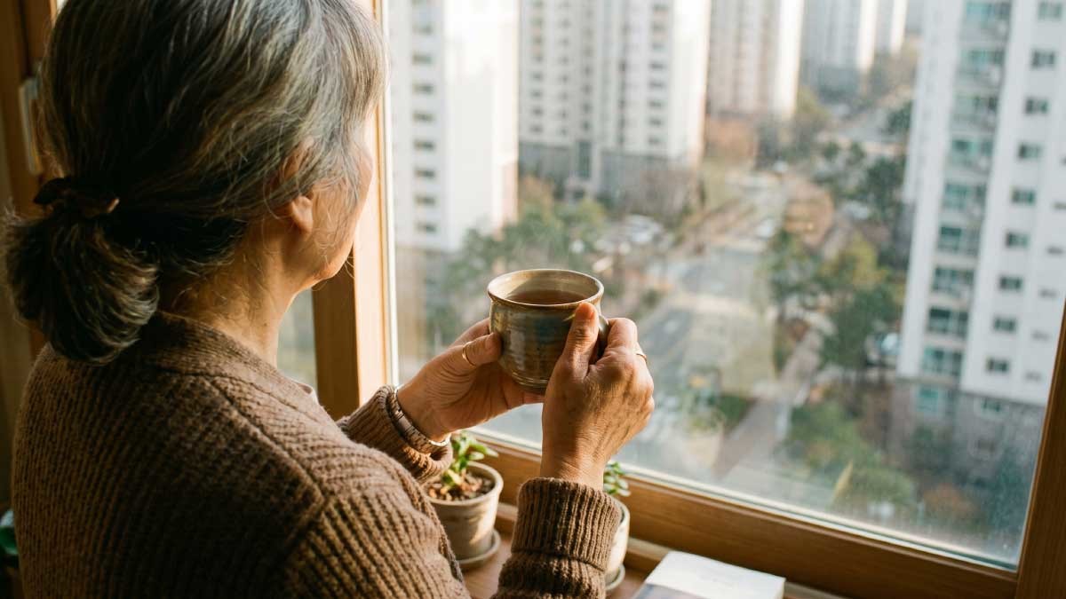 기사 이해를 돕기 위한 참고 사진. / 위키트리