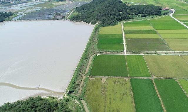 완도군, “상습 침수 걱정 끝!” … 213억 투입 농경지 배수 개선 사업 박차