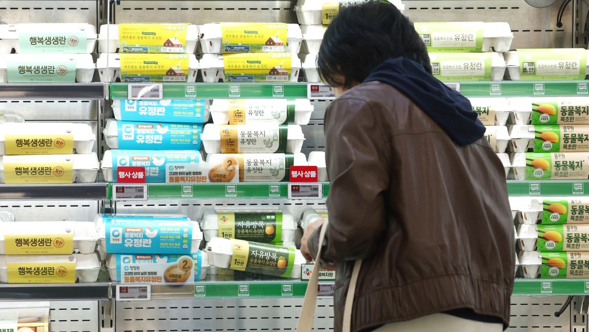 서울의 한 대형마트에서 동물복지란을 고르는 시민 모습. / 연합뉴스