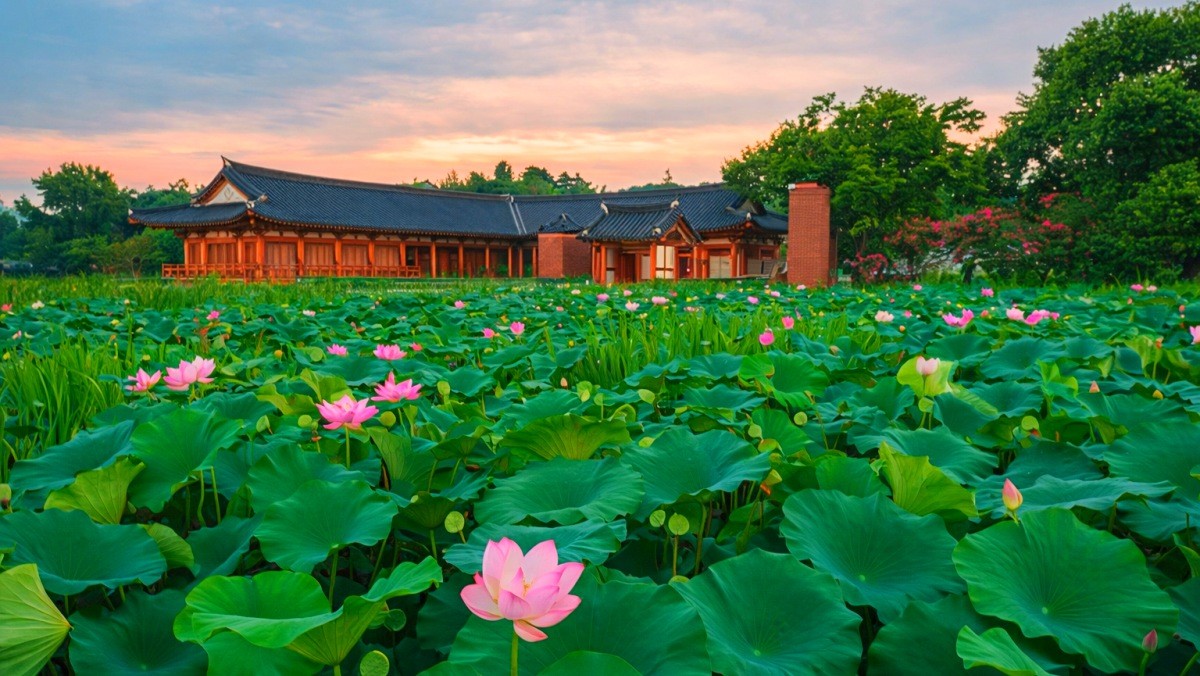 전주 덕진공원. 기사 내용 토대로 AI툴 활용해 제작한 자료사진.