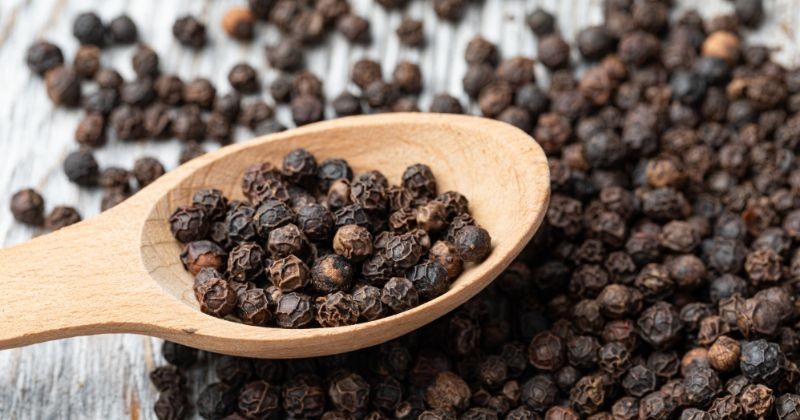 나무 숟가락에 검은 후추 / 셔터스톡