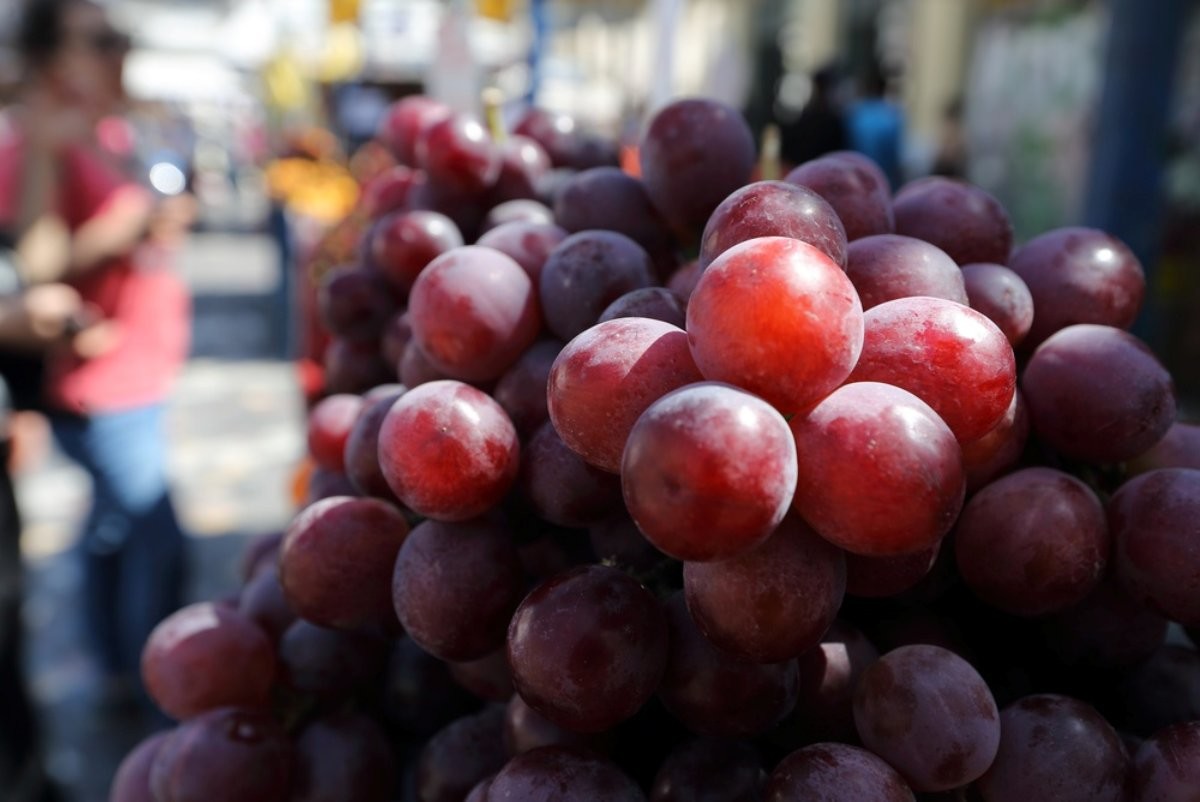 포도 자료사진 / Emre Uncu-shutterstock.com