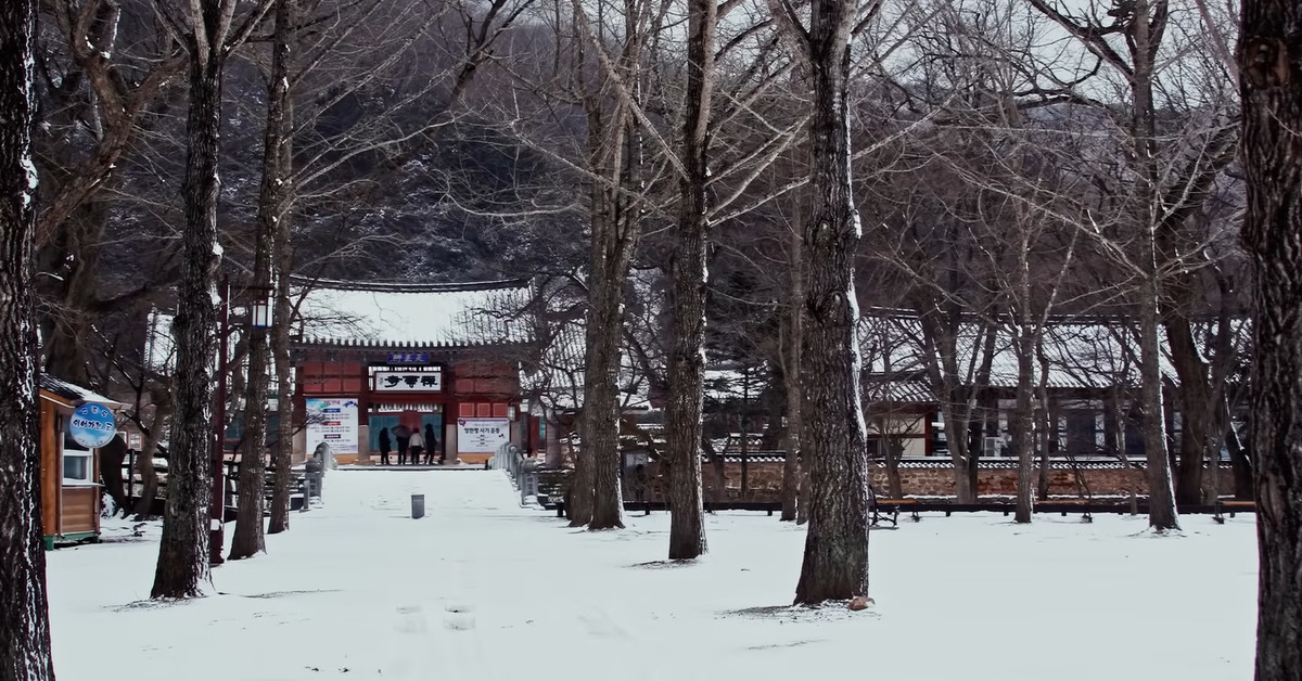 선운사 / 유튜브 '한국불교 대표방송 BTN'