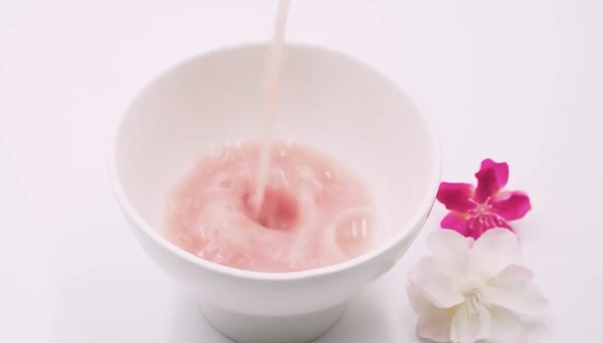 매화꽃비주 / 당진시