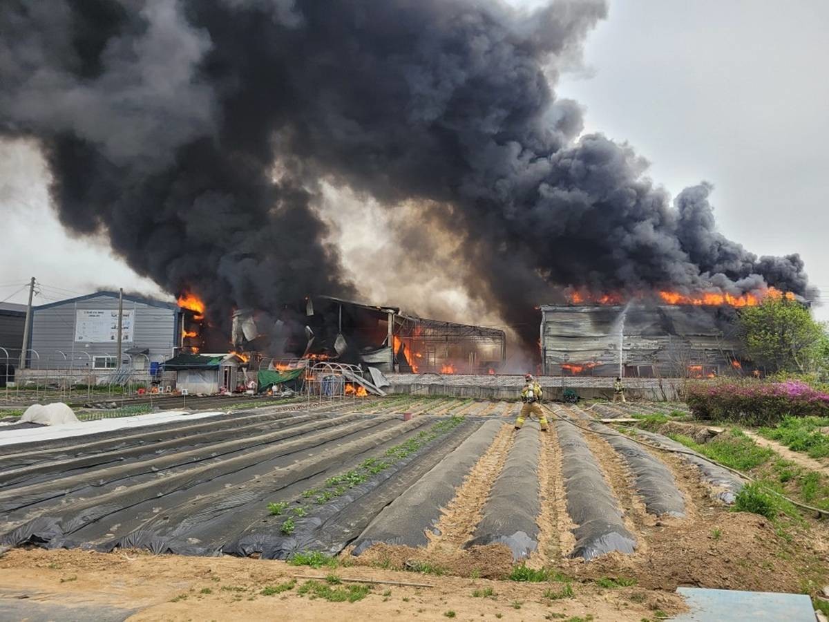 고양 식품가공 공장 화재 / 경기도북부소방재난본부 제공, 연합뉴스