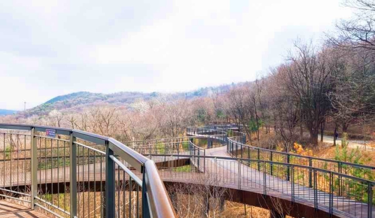 용마산 스카이워크 / ⓒ한국관광콘텐츠랩