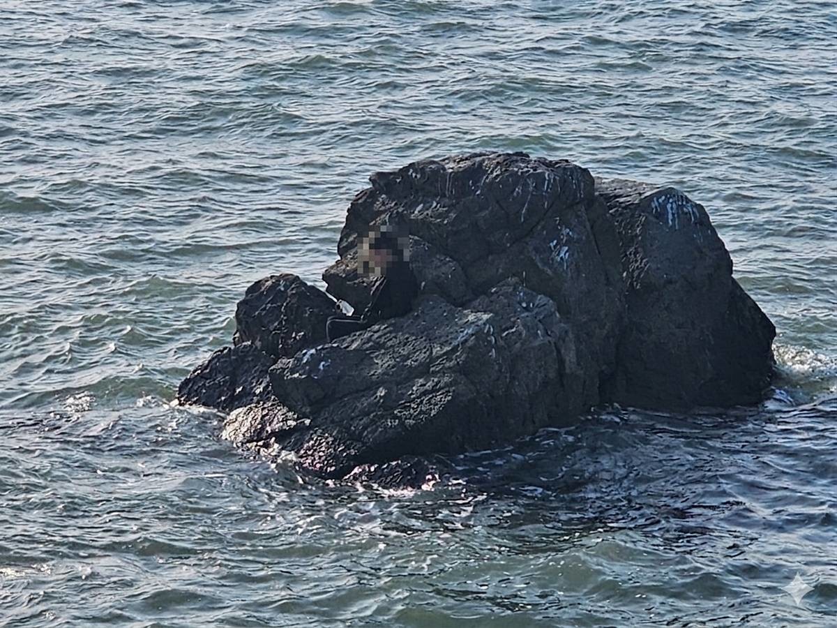 갯바위에 고립된 A 씨 / 평택해경 제공, 연합뉴스