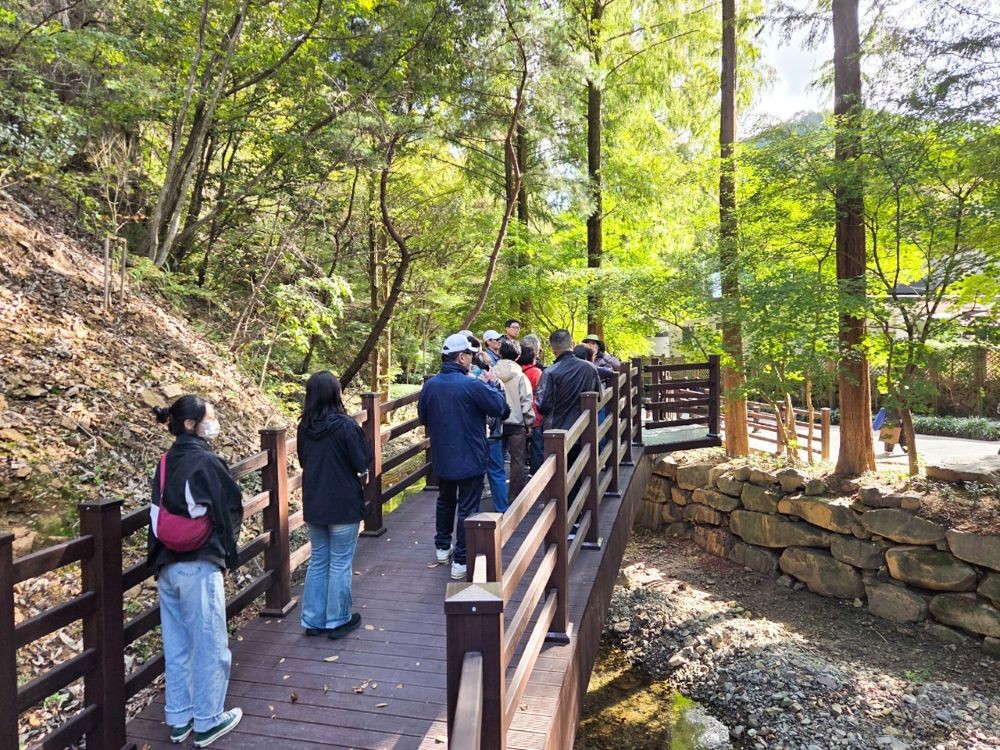 지난해 진행된 숲 체험 활동 / 사진=대전 유성구