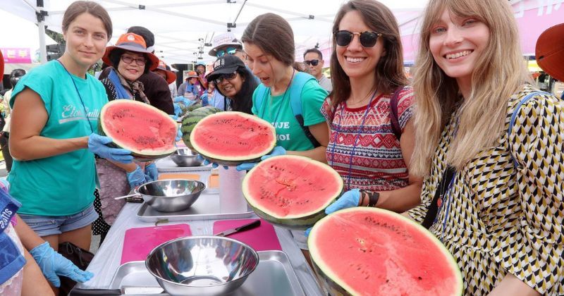 “새벽 3시에 화채 먹는다”…외국인들 다시 빠진 한국식 여름 디저트