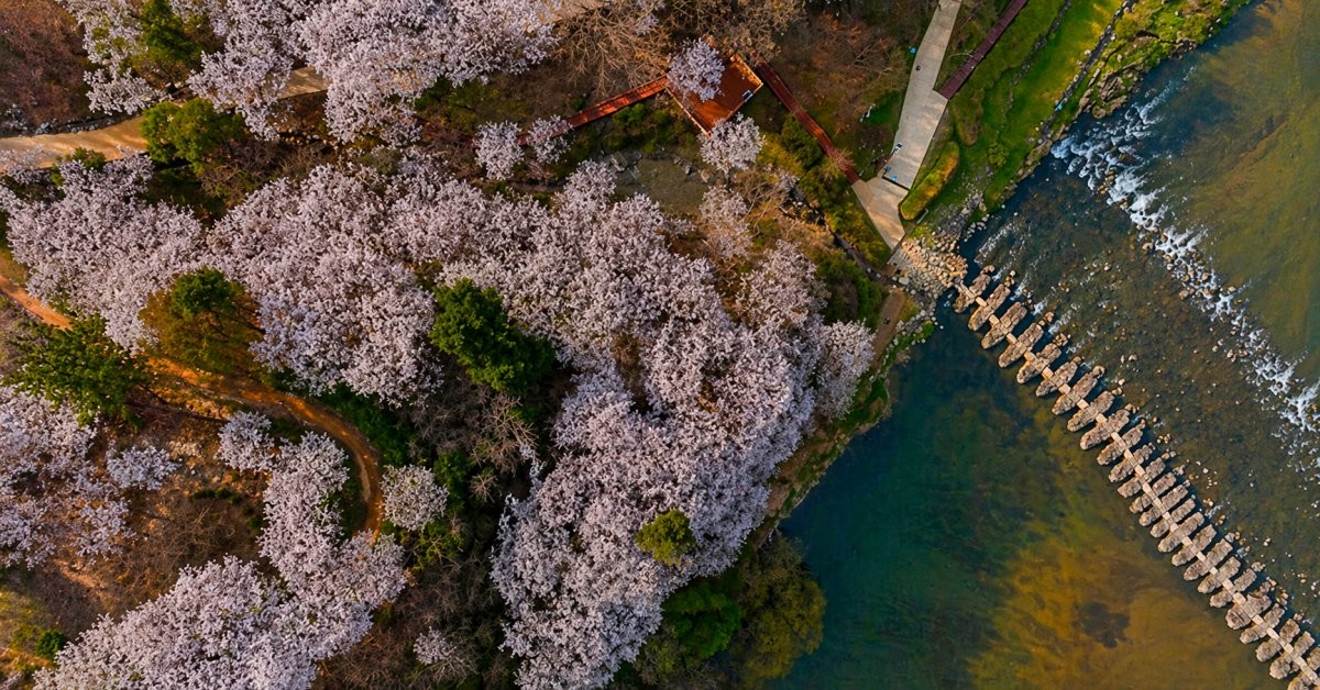진천 농다리. 기사 내용 토대로 AI툴 활용해 제작한 자료사진.