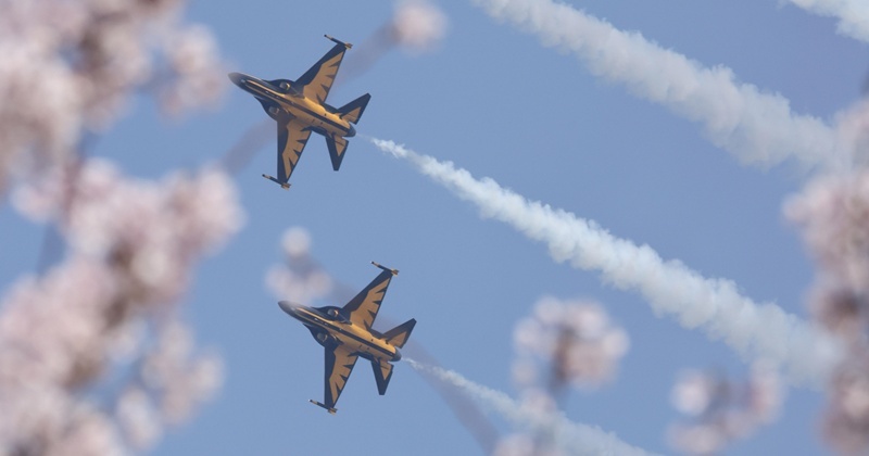 '인생샷' 찍던 조종사 때문에 전투기 충돌...현재는 민간 항공사 근무 중