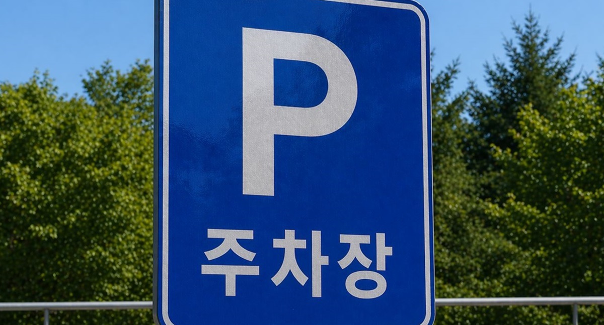 송도 공영주차장 방치된 차량서 여성 백골 시신 발견…경찰 수사 중