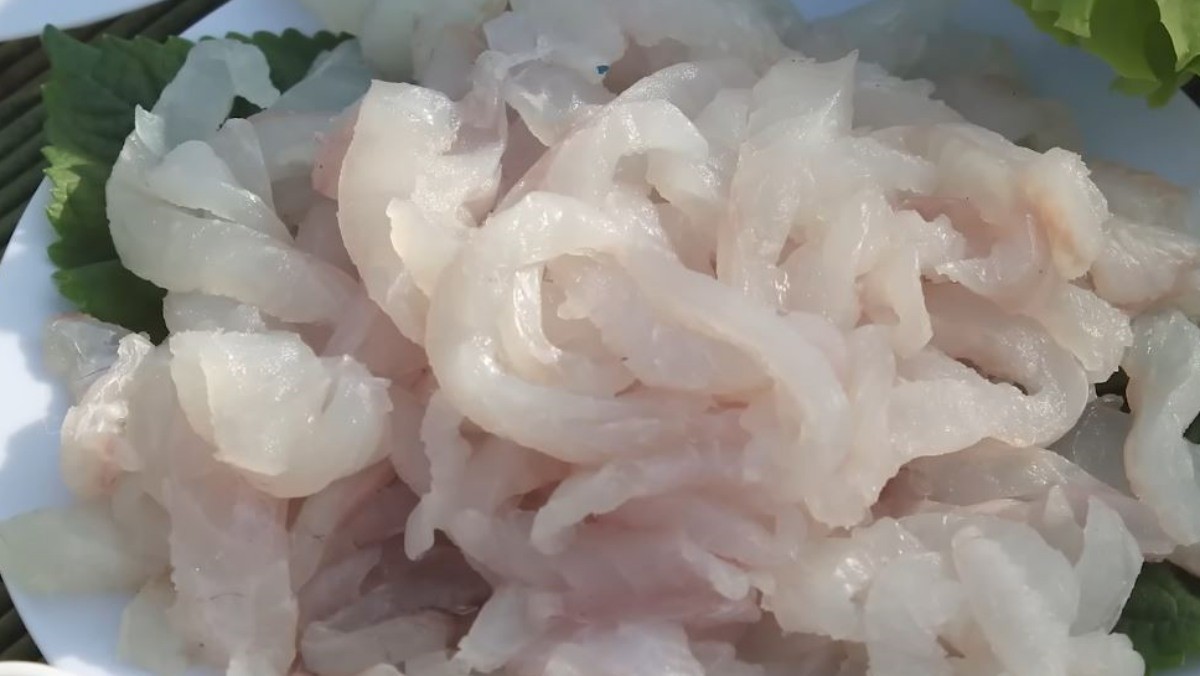 소개된 회 중 하얀색 속살이 돋보이는 '솜뱅이 회'. / 유튜브 '입질의추억TV jiminTV'