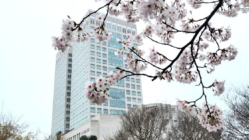 흐린 하늘 대전시청 전경. 이날 충청권은 빗방울과 황사 영향이 예상된다./사진=김지연 기자