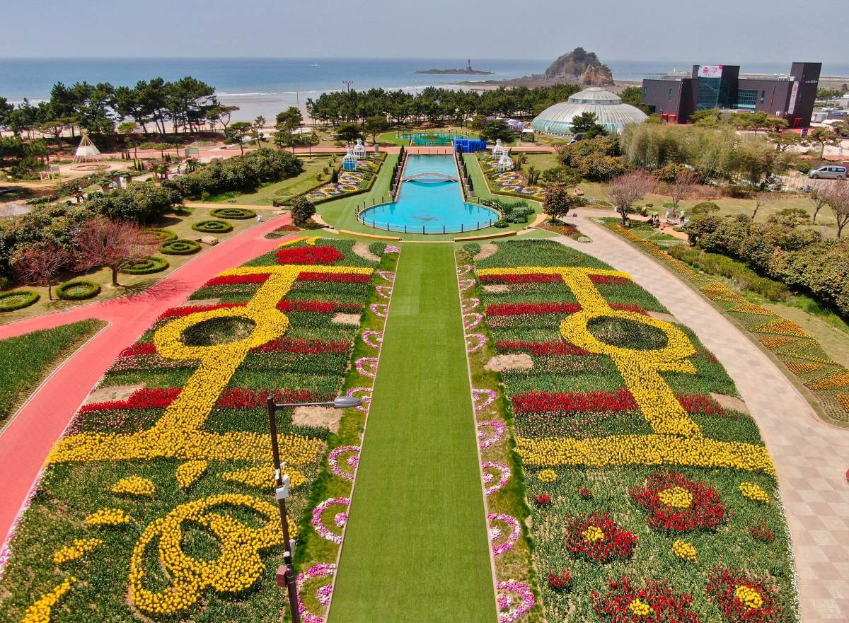 17년 만에 다시 핀 안면도... 꽃과 AI가 만난 ‘치유의 대제전’ 막 오른다