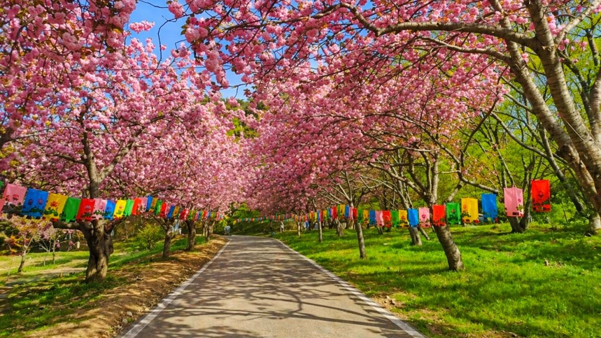 본당 가는 길. 기사 내용 토대로 AI툴 활용해 제작한 자료사진.