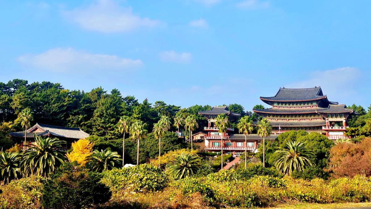 야자수와 웅장한 법당, 여기 한국 맞나요?…바다가 보이는 국내 '이색 사찰'
