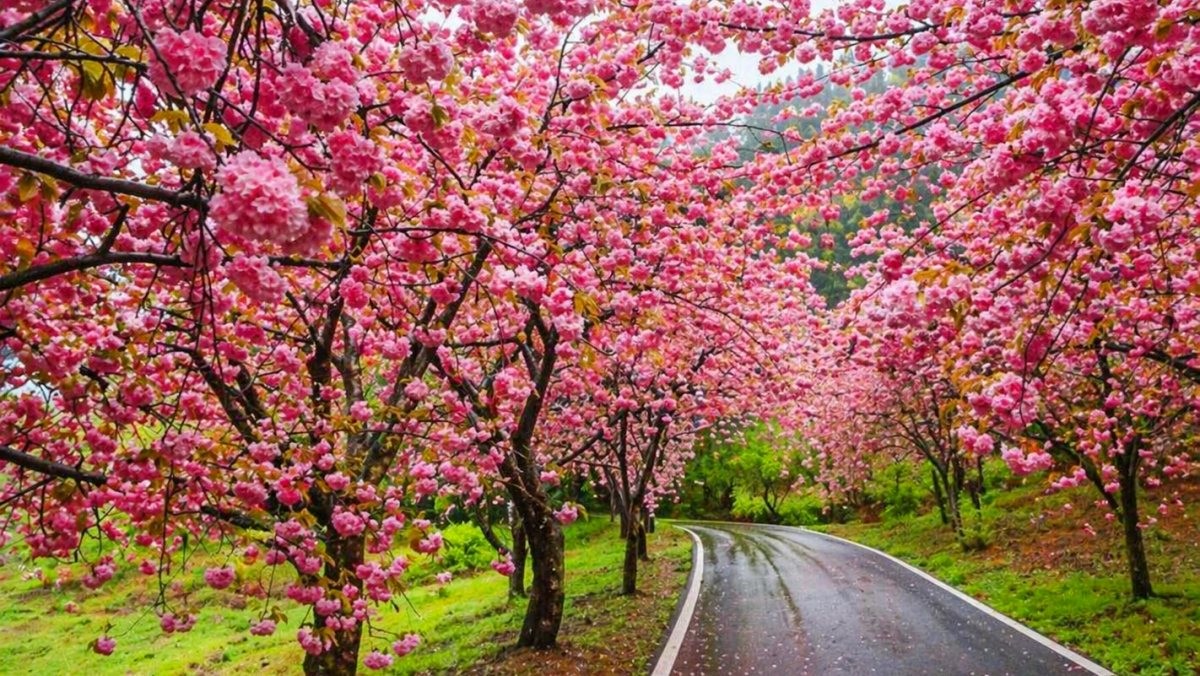 서산 수문사. 기사 내용 토대로 AI툴 활용해 제작한 자료사진.