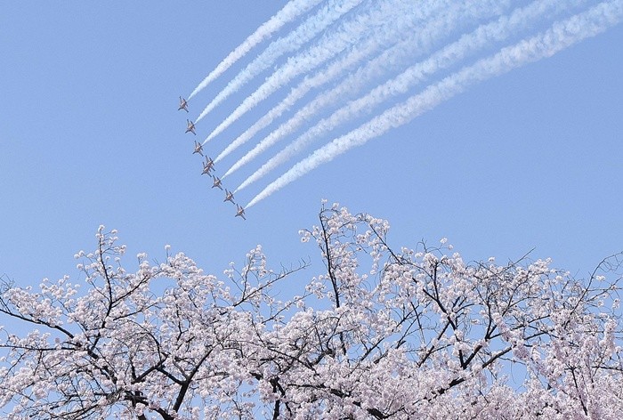 기사의 이해를 돕기 위한 사진 / 뉴스1