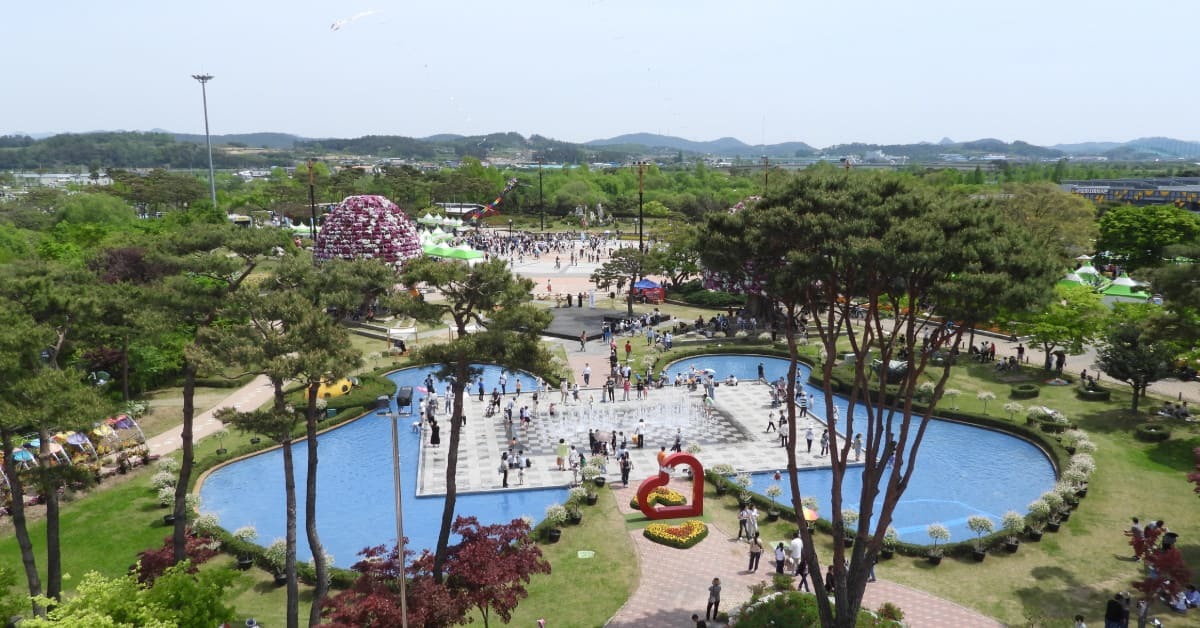 나비 날리고 한우 굽고…함평에서 즐기는 오감 만족 힐링 여행법